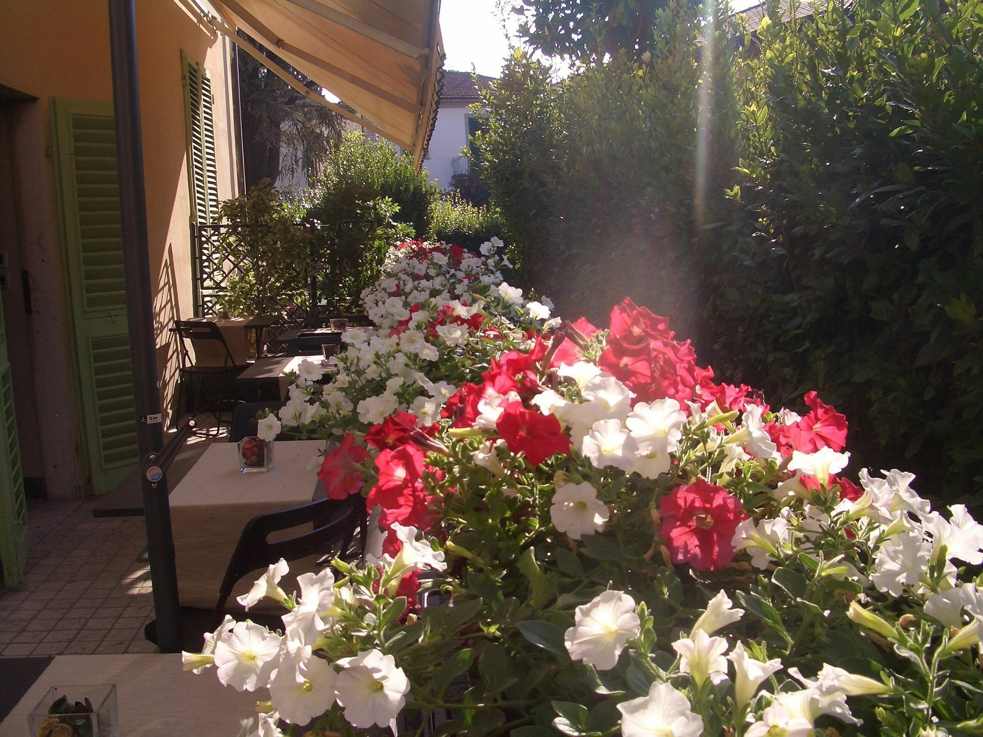 Lucca Relais Bed & Breakfast Exterior photo